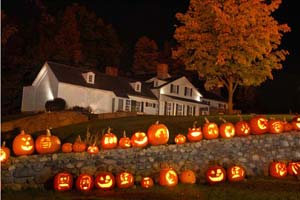Jack O Lanterns on hill